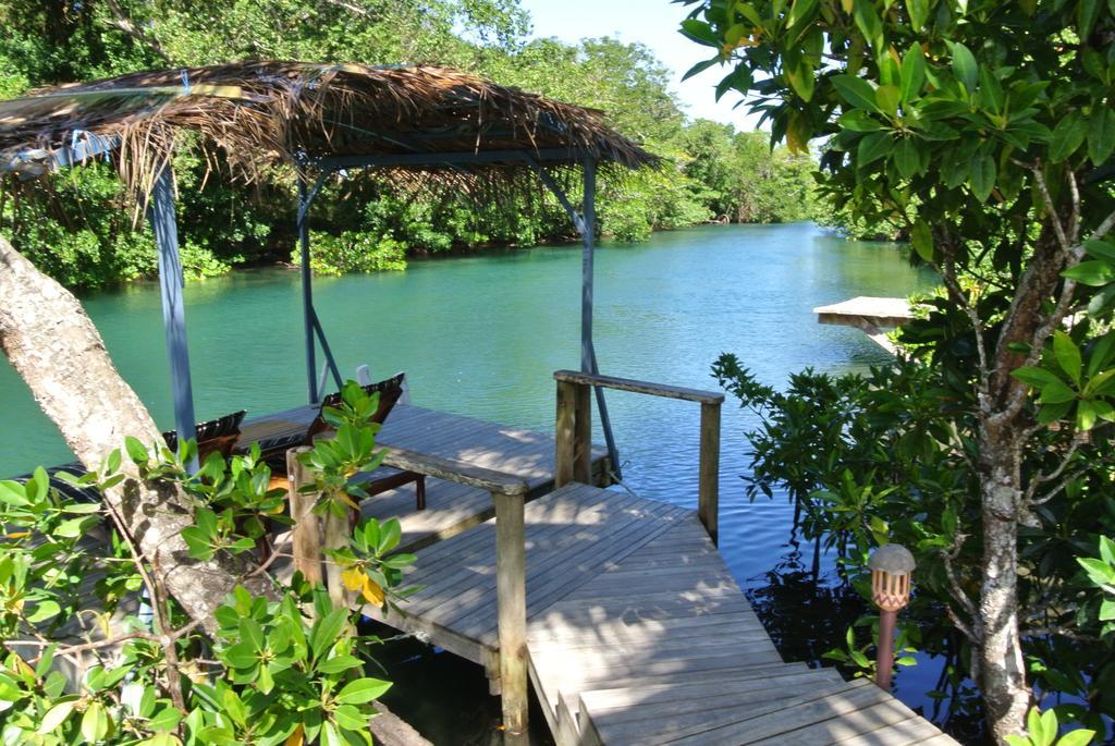 Salt Lake Lodge Savusavu Habitación foto